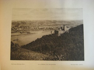 Der Rhein von Mainz